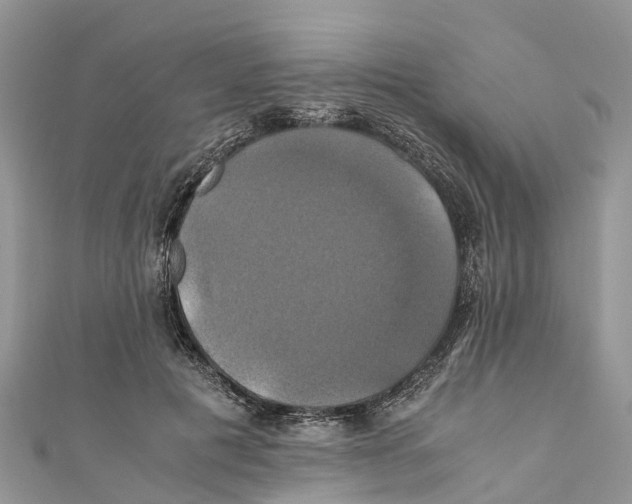 X0000110990601200907171753