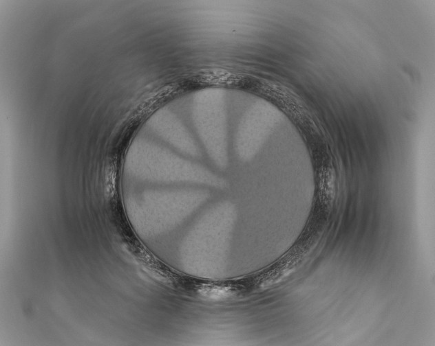 X0000110990602200907171753