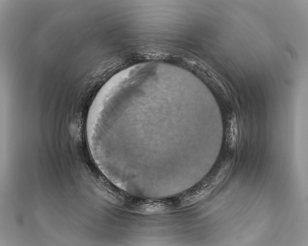 X0000110990604200907171753