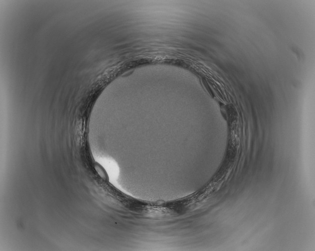 X0000110990605200907171753