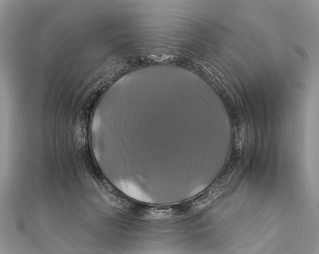 X0000110990606200907171753