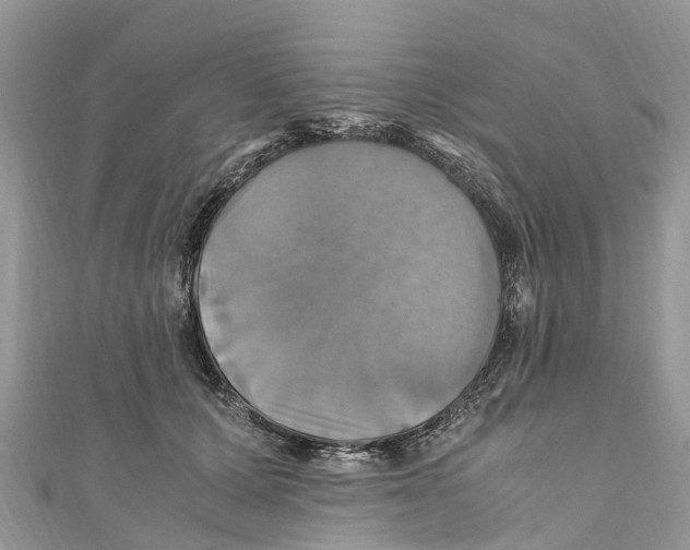 X0000110990607200907171753