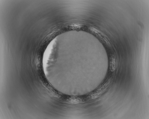 X0000110990608200907171753