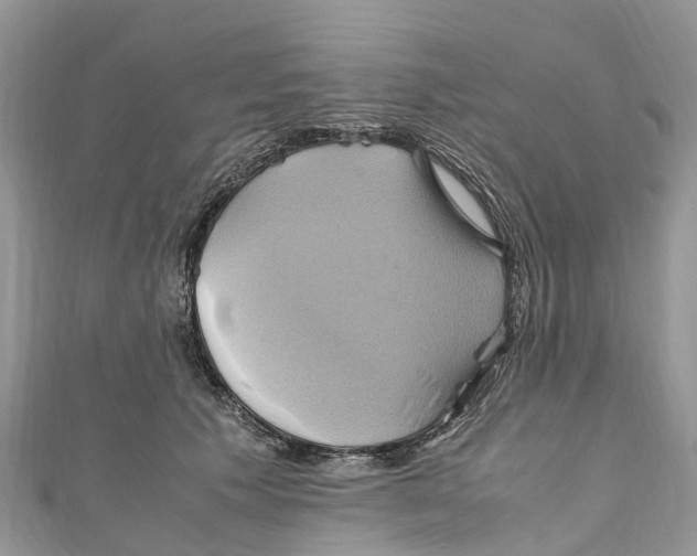 X0000110990609200907171753
