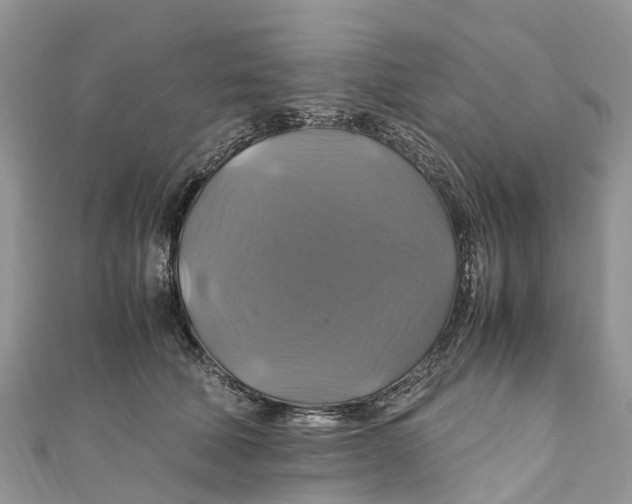 X0000110990610200907171753
