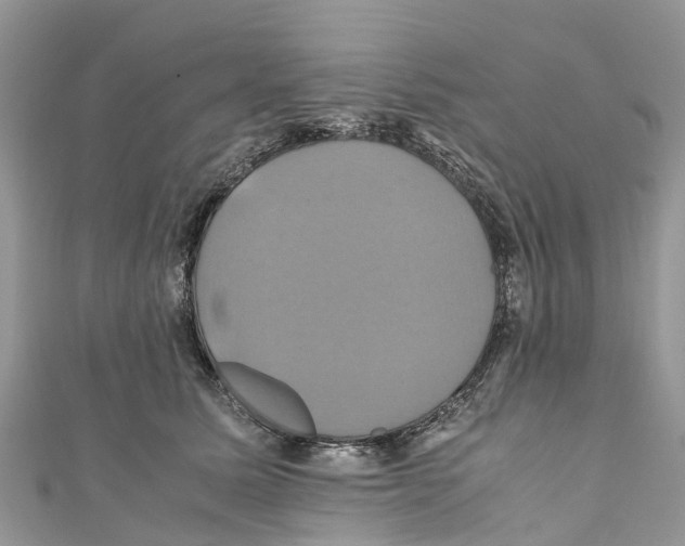 X0000110990611200907171753