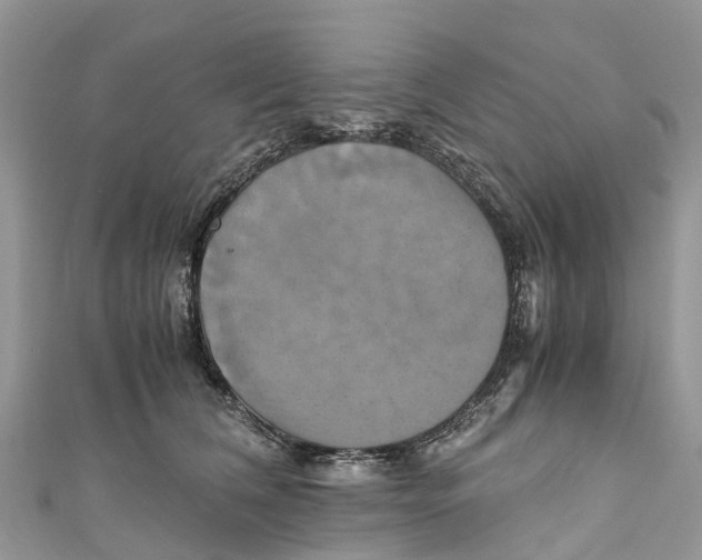 X0000110990612200907171753