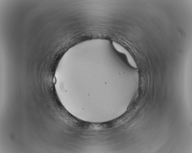 X0000110990613200907171753
