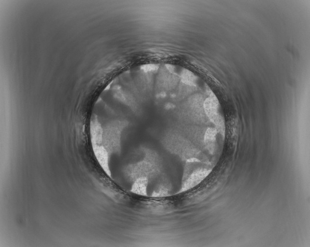 X0000110990615200907171753