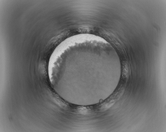 X0000110990616200907171753