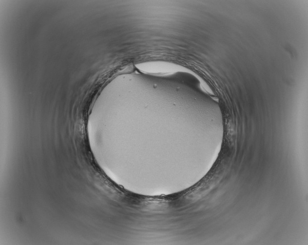 X0000110990617200907171753