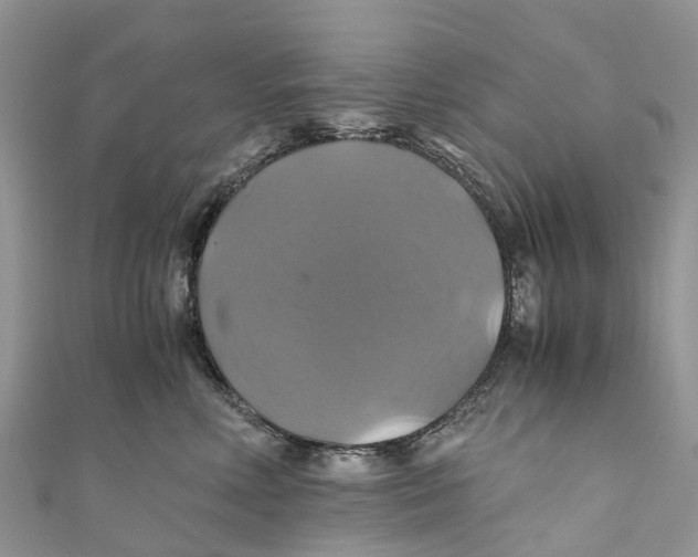 X0000110990618200907171753