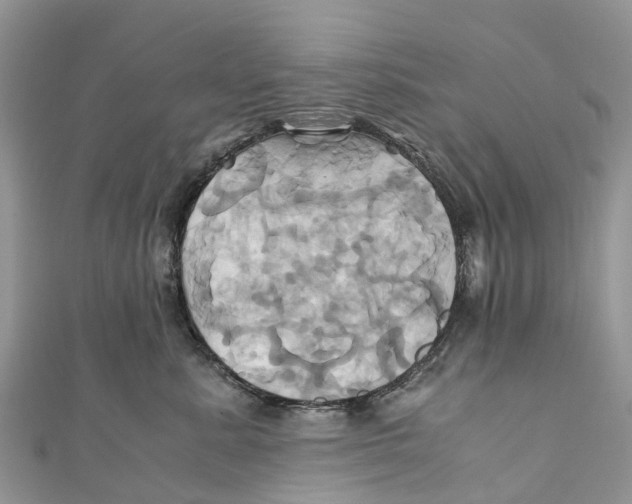X0000110990619200907171753
