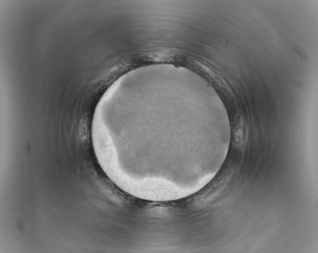 X0000110990620200907171753