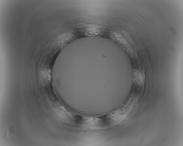 X0000110990621200907171753