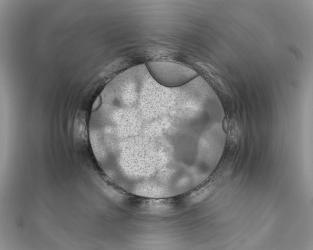X0000110990622200907171753