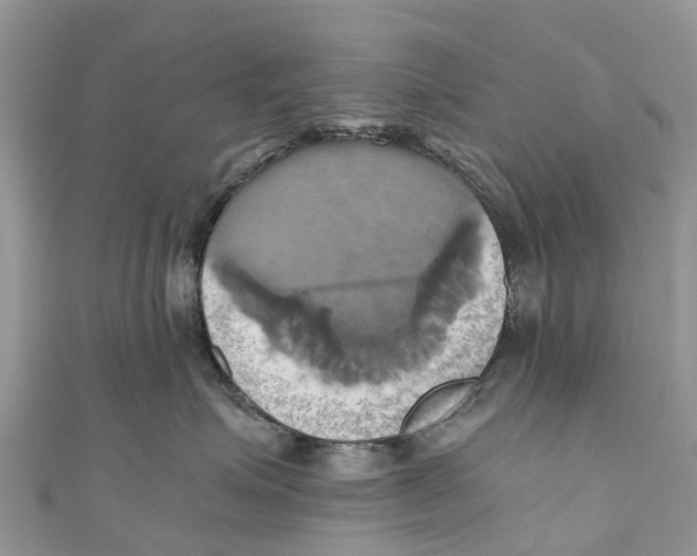 X0000110990623200907171753