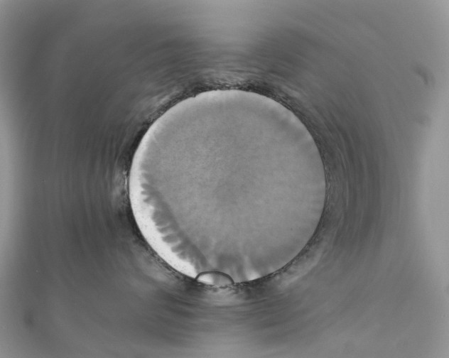 X0000110990624200907171753