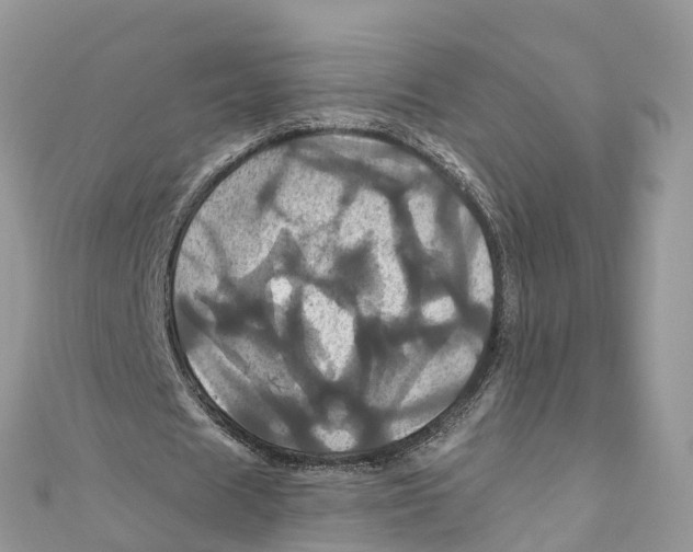 X0000110990625200907171752