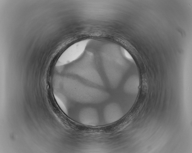 X0000110990626200907171752