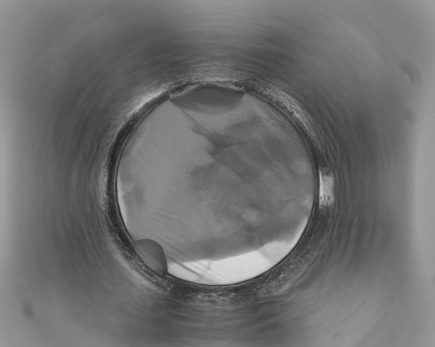 X0000110990627200907171752