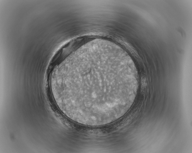 X0000110990628200907171752