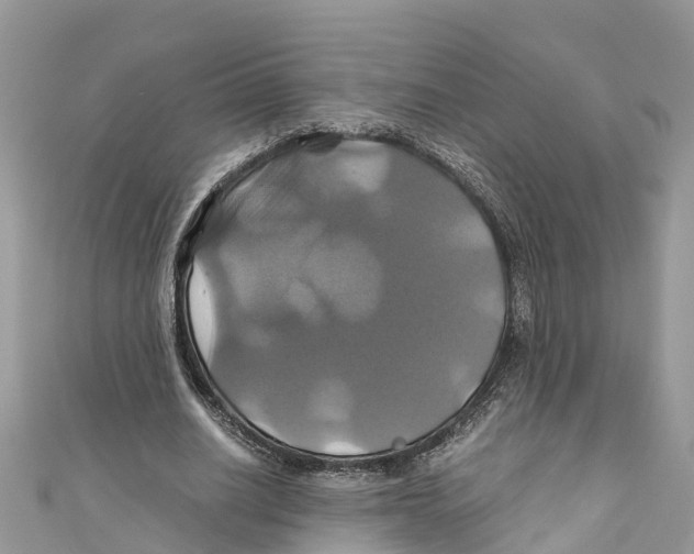 X0000110990630200907171752