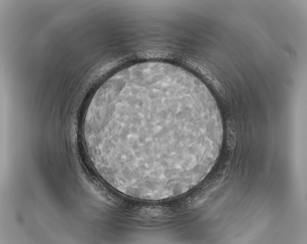 X0000110990631200907171752
