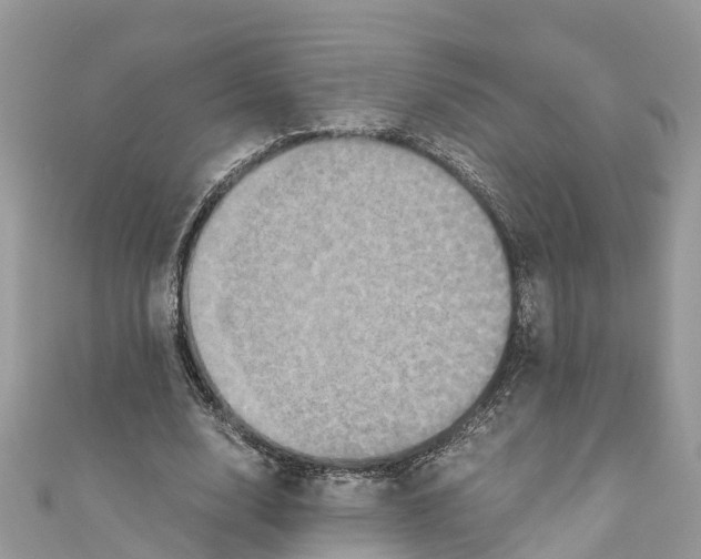 X0000110990632200907171752