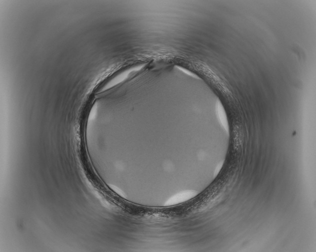 X0000110990634200907171752