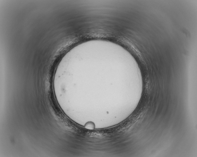 X0000110990635200907171752