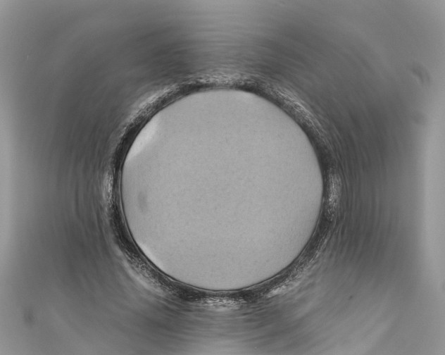 X0000110990636200907171752