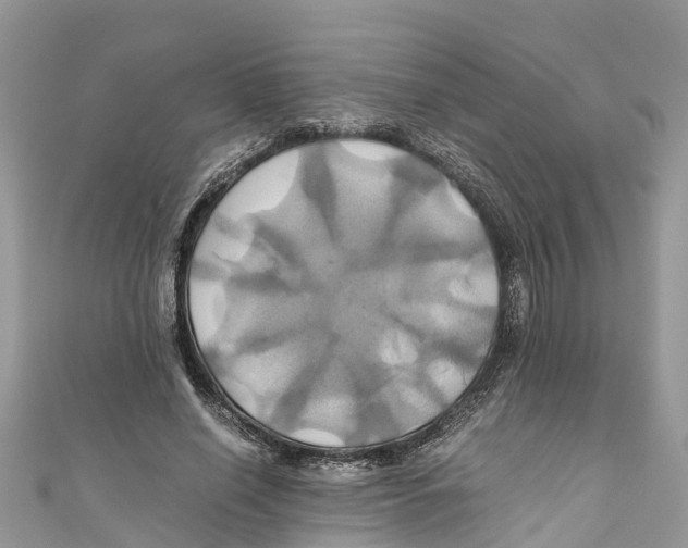 X0000110990638200907171752