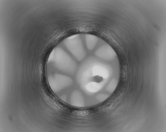 X0000110990639200907171752