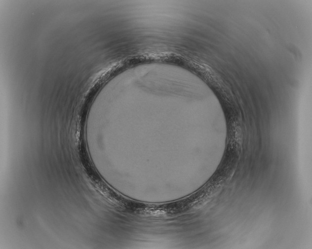 X0000110990640200907171752