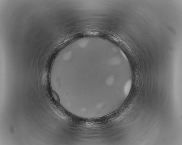 X0000110990641200907171753