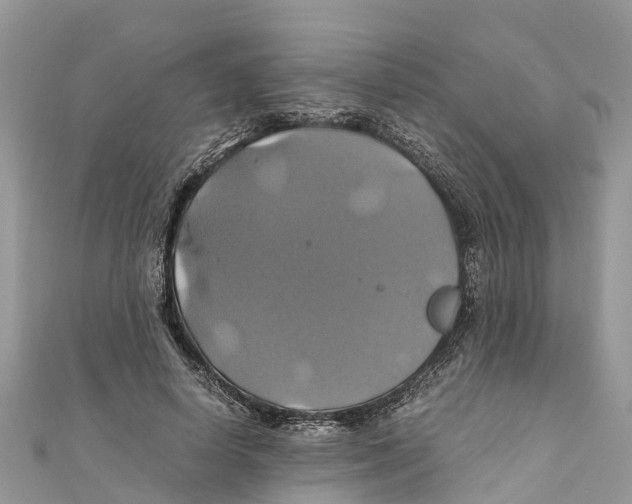 X0000110990642200907171753