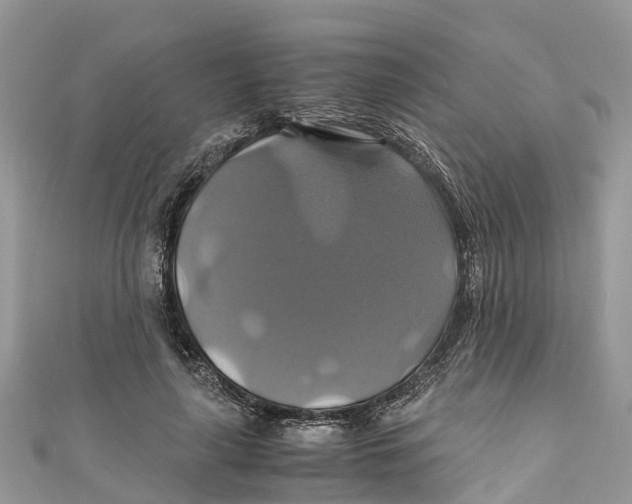 X0000110990643200907171753