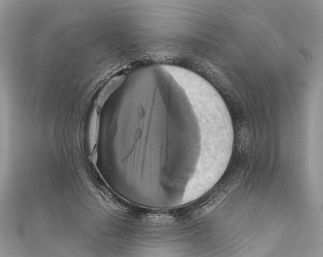 X0000110990644200907171753