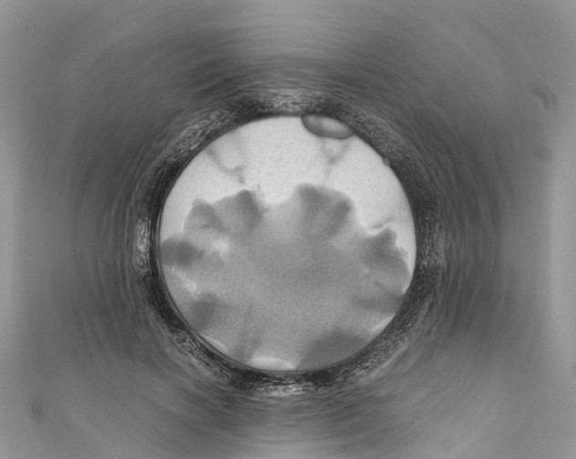 X0000110990646200907171753