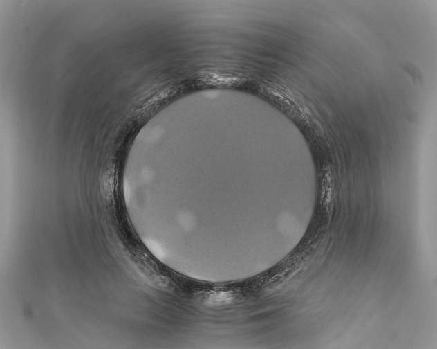 X0000110990647200907171753
