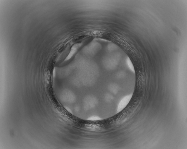 X0000110990649200907171753