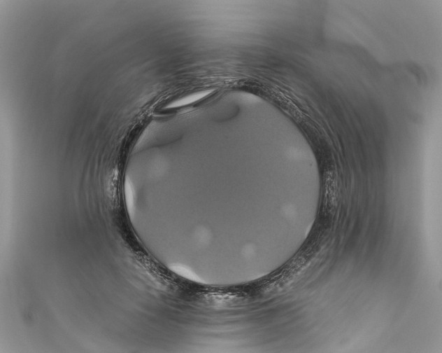 X0000110990650200907171753