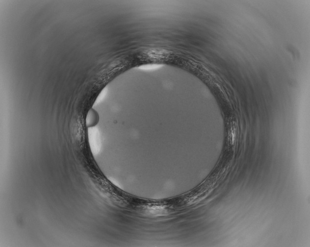 X0000110990651200907171753