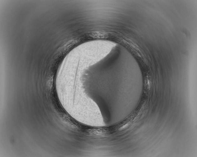 X0000110990652200907171753