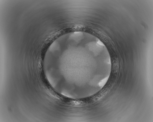 X0000110990654200907171753