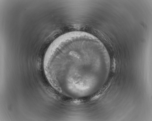 X0000110990656200907171753