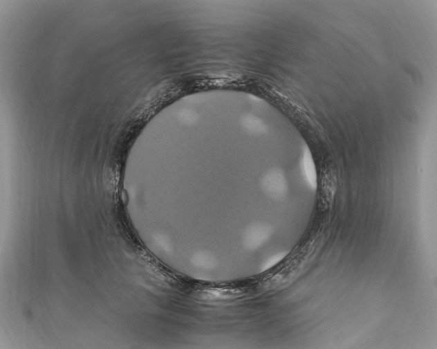 X0000110990657200907171753