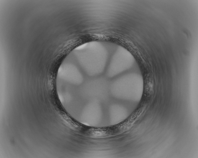 X0000110990658200907171753