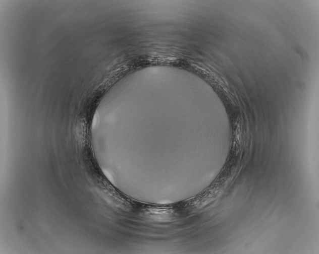 X0000110990659200907171753